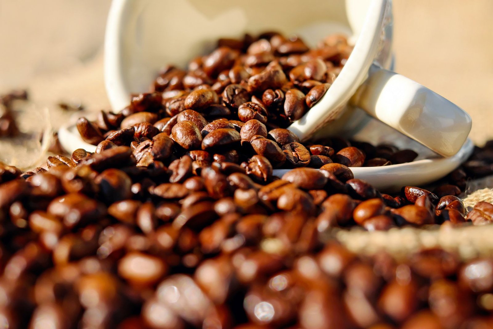 Specialty coffee beans